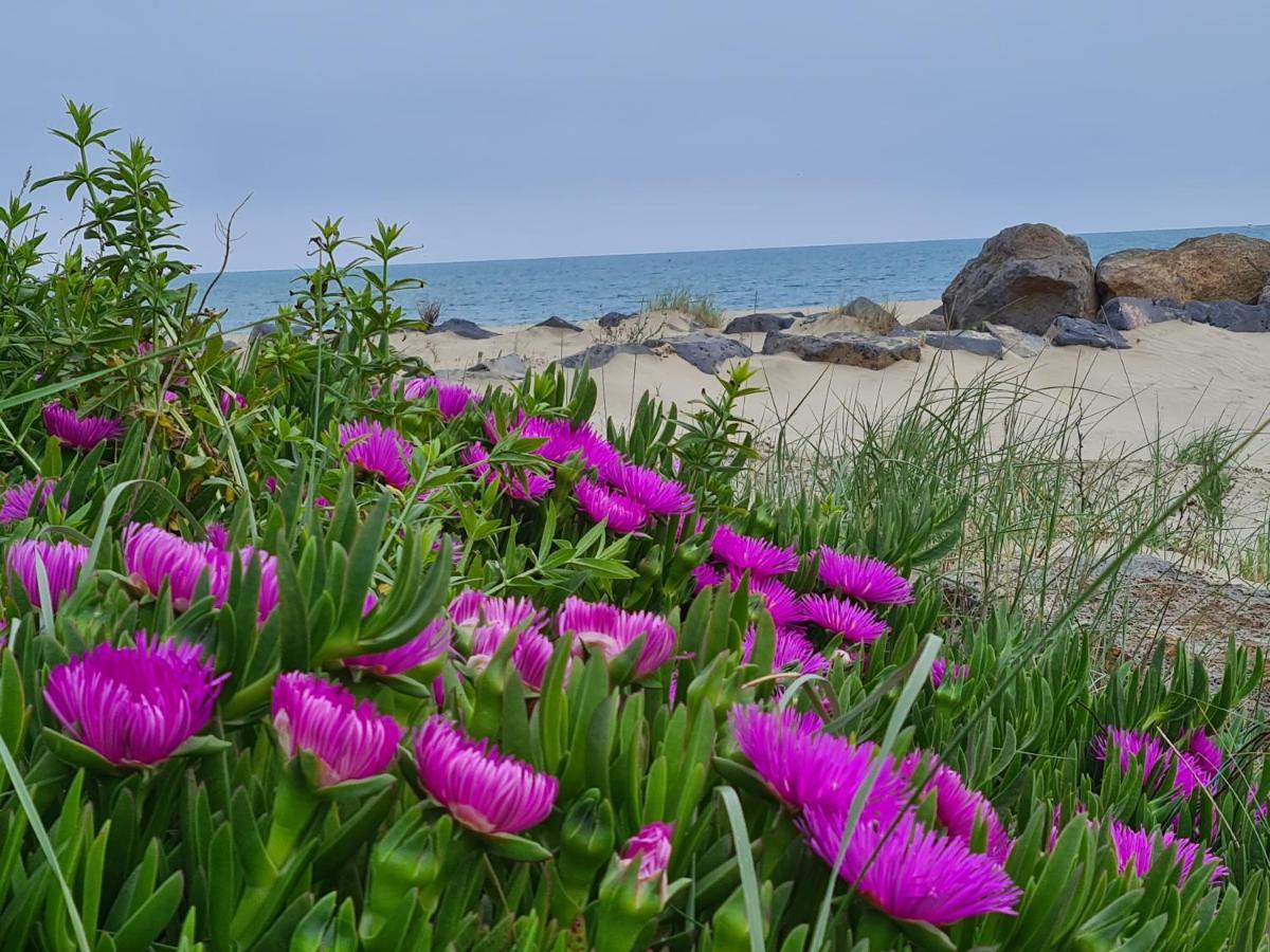 Camping Les Sables D'Or Cap D'Agde Le Grau-dʼAgde Zewnętrze zdjęcie